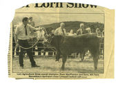 Animals-Show - Bovine