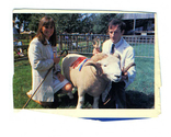 Animals-Show - Caprine/Ovine