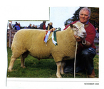 Animals-Show - Caprine/Ovine