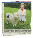 Animals-Show - Caprine/Ovine