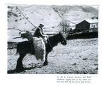 Farming - Equine