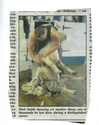 Farming - Shearing