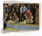 Farming - Shearing