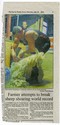 Farming - Shearing