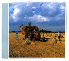 Farming - Working Landscape