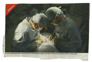 Groups - Medical Operation